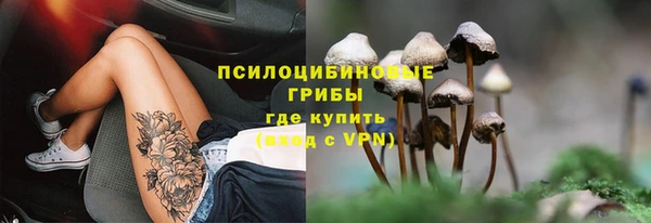 бошки Алексеевка