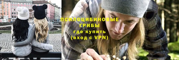 а пвп мука Алзамай
