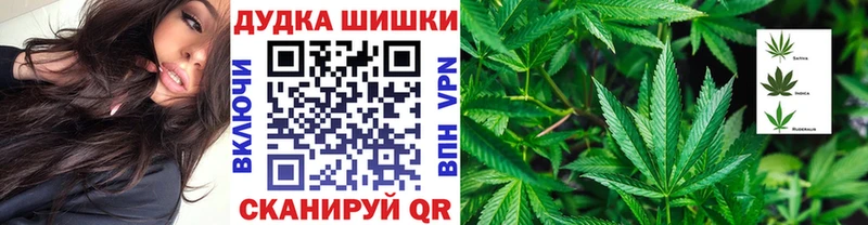 купить закладку  Карачаевск  MEGA сайт  Конопля тримм 